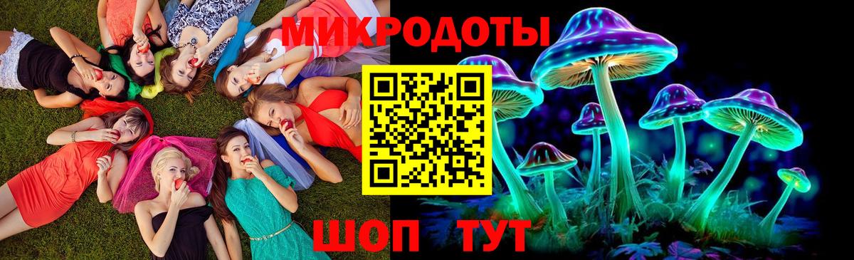 Галлюциногенные грибы Cubensis Сарапул
