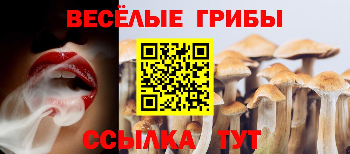 Галлюциногенные грибы мухоморы  Вход с VPN  Сарапул 